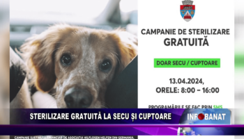 Sterilizare gratuită la Secu și Cuptoare