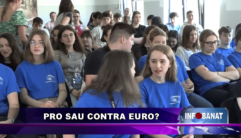 Pro sau contra euro?