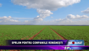 Sprijin pentru companiile românești