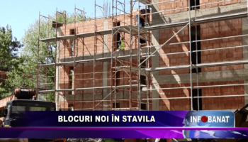 Blocuri noi în Stavila