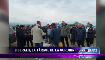 Liberalii, la Târgul de la Coronini