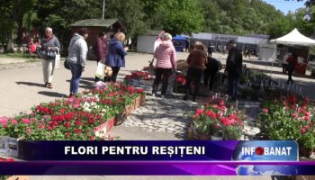 Flori pentru reșițeni