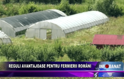 Reguli avantajoase pentru fermierii români