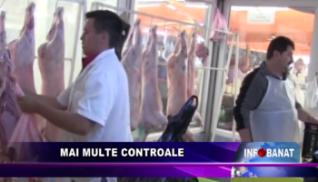 Mai multe controale