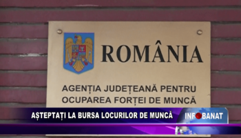 Așteptați la Bursa Locurilor de Muncă