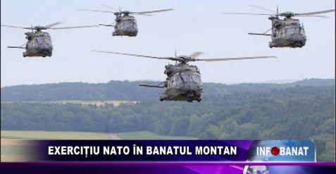 Exercițiu NATO în Banatul Montan