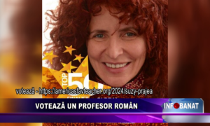 Votează un profesor român