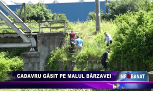 Cadavru găsit pe malul Bărzavei