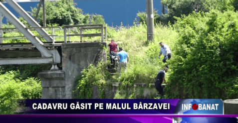 Cadavru găsit pe malul Bărzavei