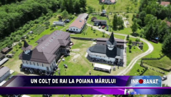 Un colț de rai la Poiana Mărului