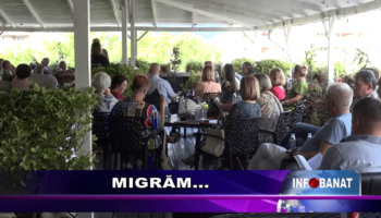Migrăm…