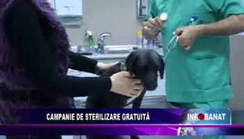 Campanie de sterilizare gratuită