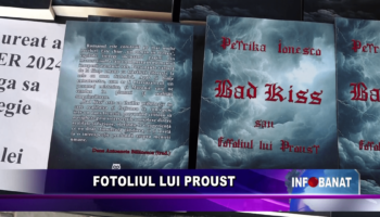 Fotoliul lui Proust