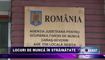 Locuri de muncă în străinătate