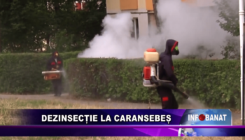 Dezinsecție la Caransebeș