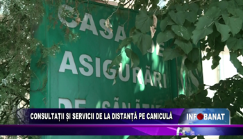 Consultații și servicii de la distanță pe caniculă