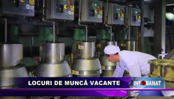 Locuri de muncă vacante