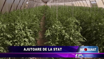 Ajutoare de la stat