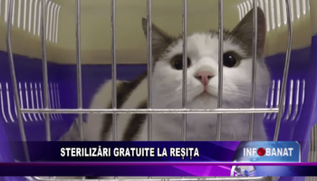 Sterilizări gratuite la Reșița