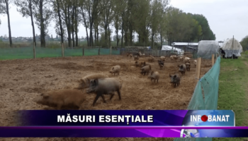 Măsuri esențiale