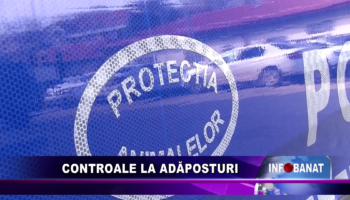 Controale la adăposturi