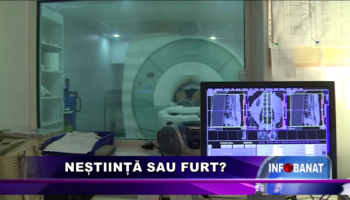 Neștiință sau furt ?