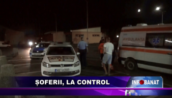 Șoferii, la control