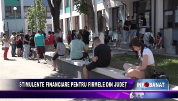Stimulente financiare pentru firmele din județ