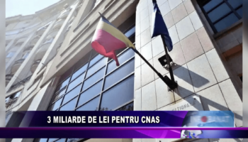 3 miliarde de lei pentru CNAS