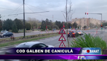 Cod galben de caniculă