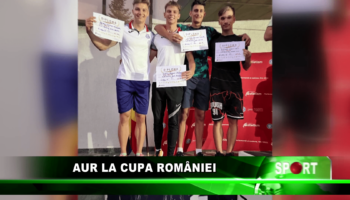 Aur la Cupa României