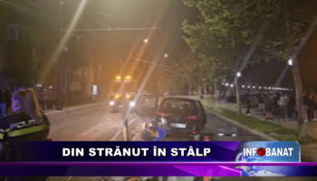 Din strănut în stâlp