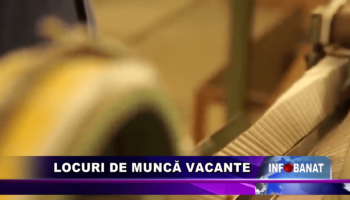 Locuri de muncă vacante