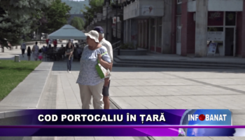Cod portocaliu în țară