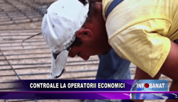 Controale la operatorii economici