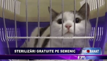 Sterilizări gratuite pe Semenic