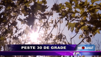 Peste 30 de grade