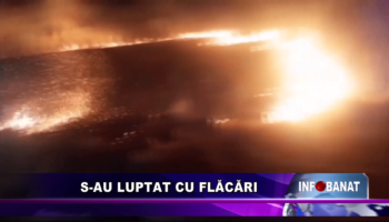 S-au luptat cu flăcările