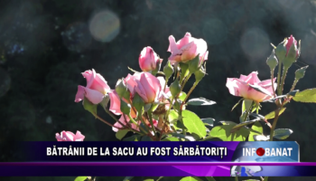 Bătrânii de la Sacu au fost sărbătoriți