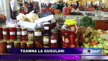 Toamna la Gugulani