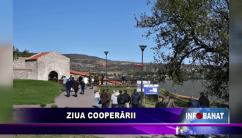 Ziua Cooperării