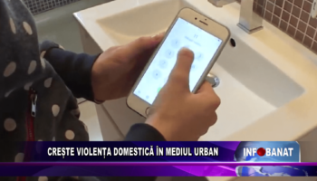 Crește violența domestică în mediul urban