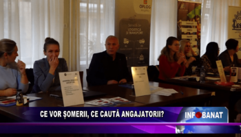 Ce vor șomerii, ce caută angajatorii?