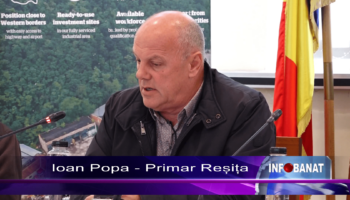 Cine este vinovat ?