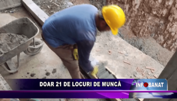 Doar 21 de locuri de muncă