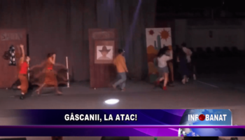 Gâscanii, la atac!