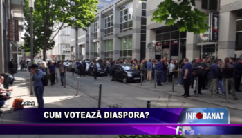 Cum votează diaspora?