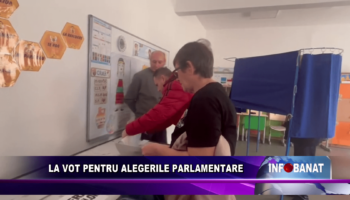 La vot pentru alegerile parlamentare