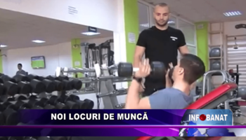 Noi locuri de muncă