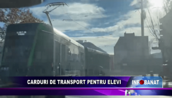 Carduri de transport pentru elevi